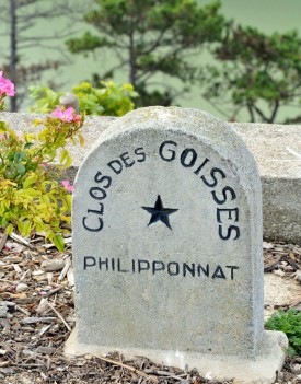 ingresso Philipponnat Clos Des Goisses