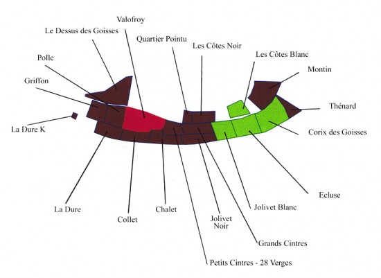 Suddivisione in 11 lieux-dits del Clos des Goisses