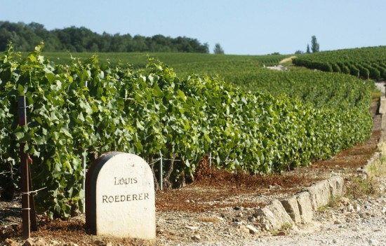 Maison Louis Roederer, vigne