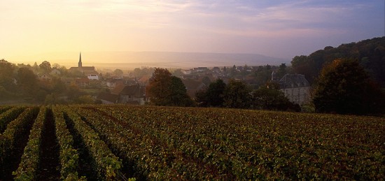 Bellissima immagine del tramonto di Cramant. in Champagne