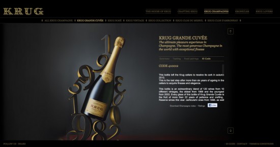 schermata sito web krug