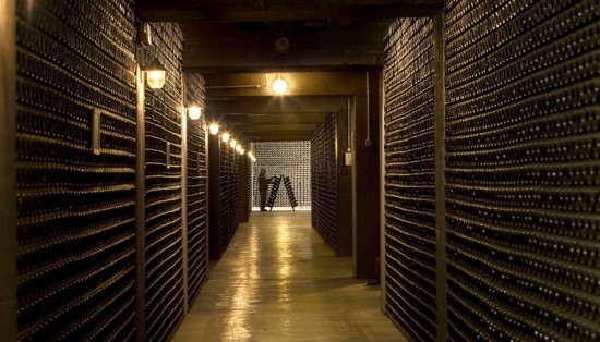 foto delle caves sotterranee di Ferrari che ospitano decine di migliaia di bottiglie “sur lattes”