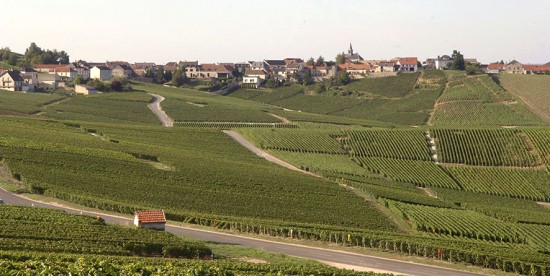 vigne di Cramant Mumm