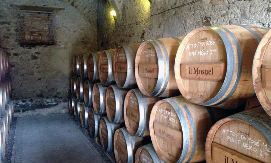 cantina con botti de il mosnel