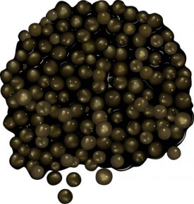 caviale nero beluga