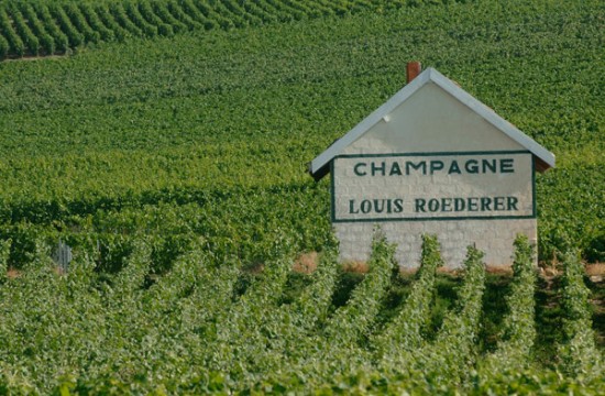 vigneti champagne louis roederer