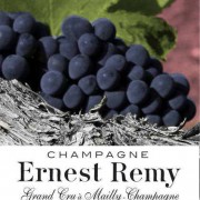 Ernest Remy