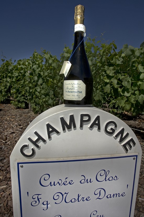 champagne di punta di V.ve Fourny