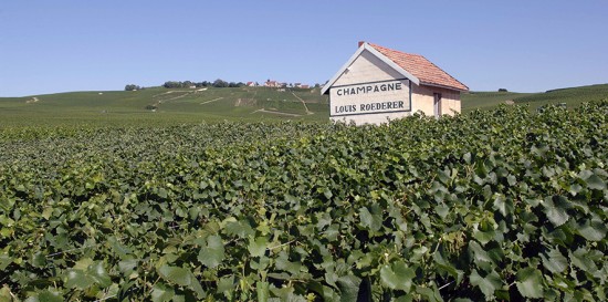 vigneti champagne louis roederer