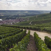 champagne itinerari di viaggio