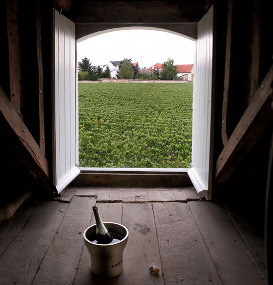 Il vigneto Krug Clos du Mesnil