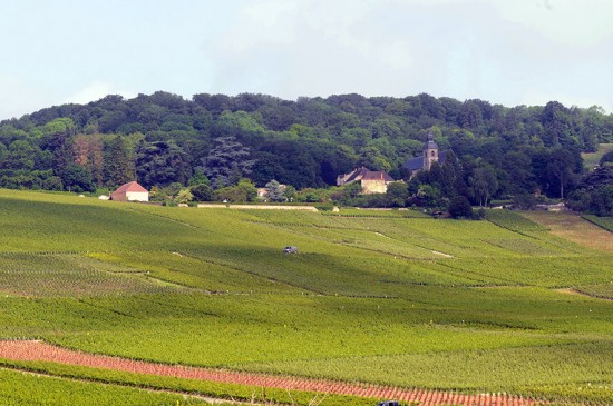 coteaux di Hautvillers