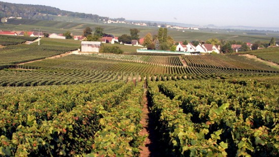 Il villaggio Grand Cru di Chouilly, sede R&L Legras.