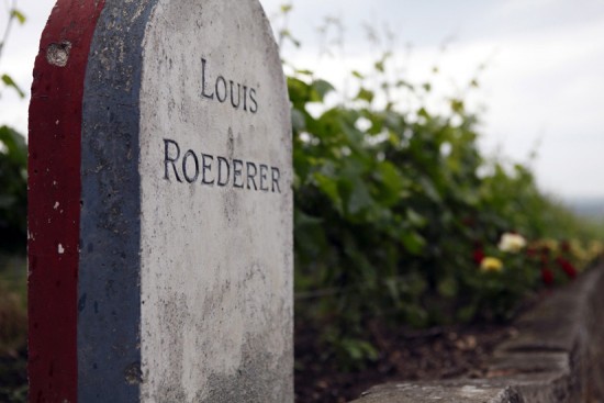 vendemma champagne 2015 Louis Roederer