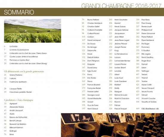 Sommario guida Grandi Champagne edizione 2016/17