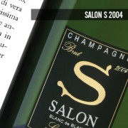 Salon S 2004