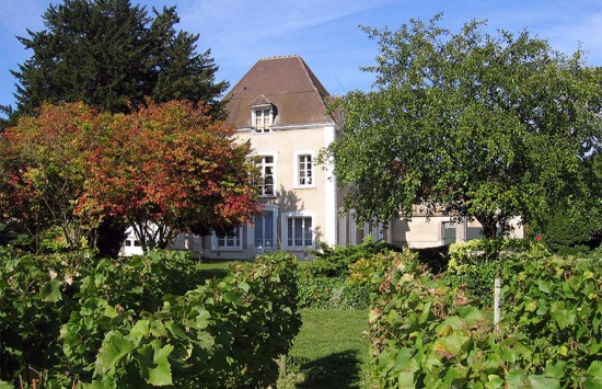 Vigneto maison Jacquesson