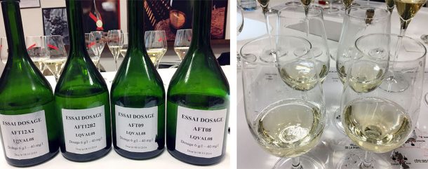 Degustazione del Brut Sélection, vinificato in barrique