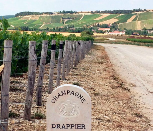 Vigneti Drappier