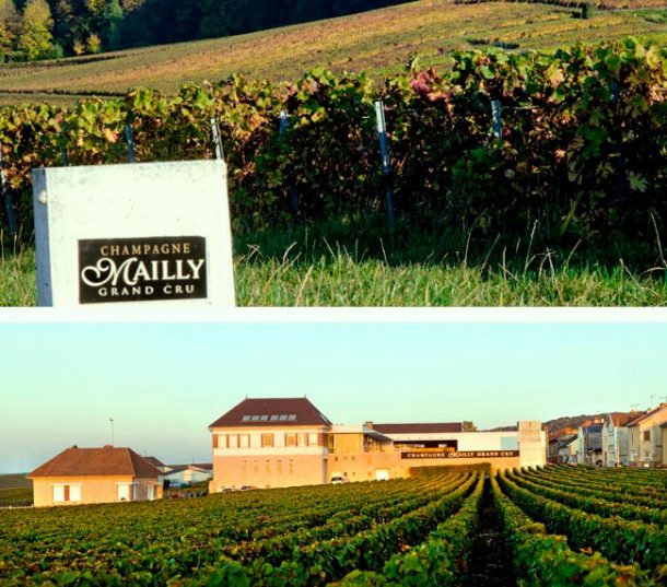 Cooperativa Mailly Grand Cru