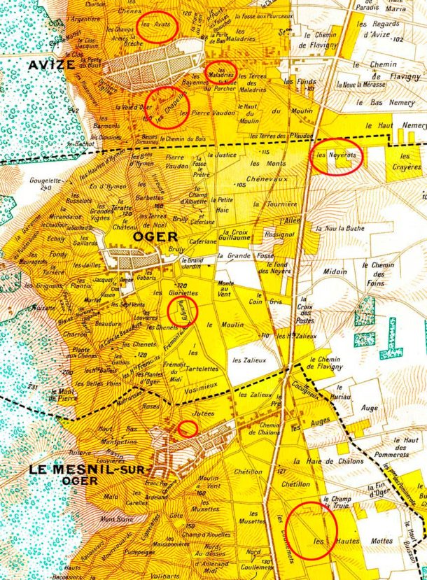 Mappa parcelle