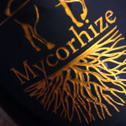 De Sousa Mycorhize