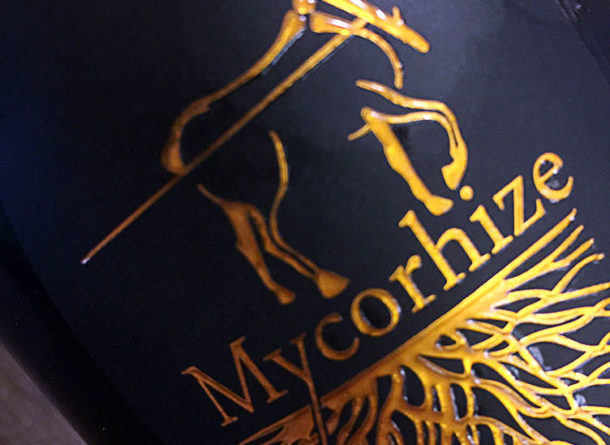 Degustazione champagne De Sousa Mycorhize