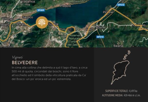 Mappa vigneti Belvedere