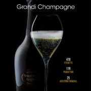 copertina guida grandi champagne 2020-21