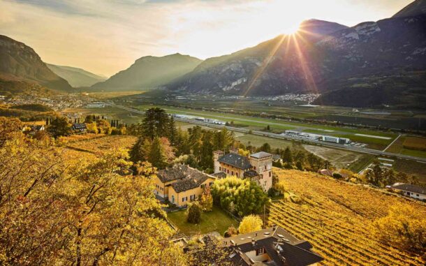 tenuta dolomis con vigne in autunno viste dall'alto