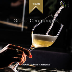 copertina guida champagne VII flessibile