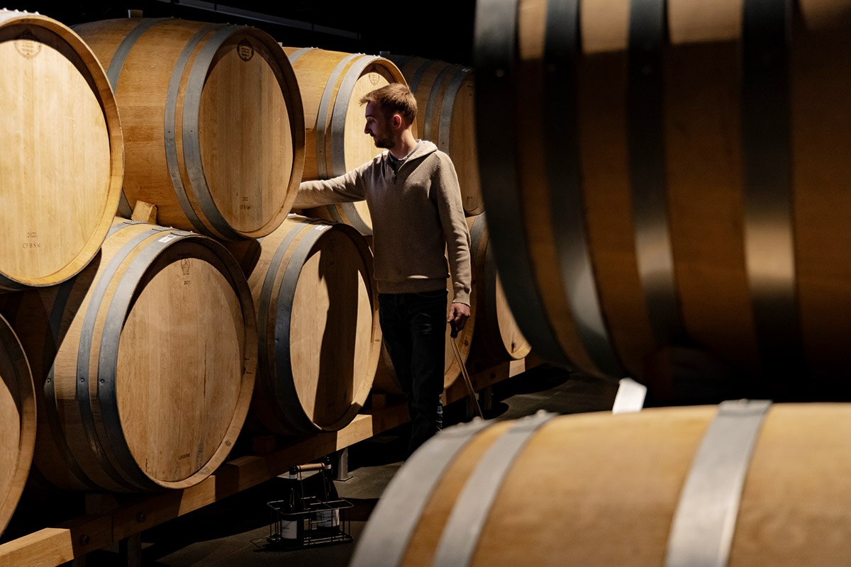 vigneron benoit doussot in cantina
