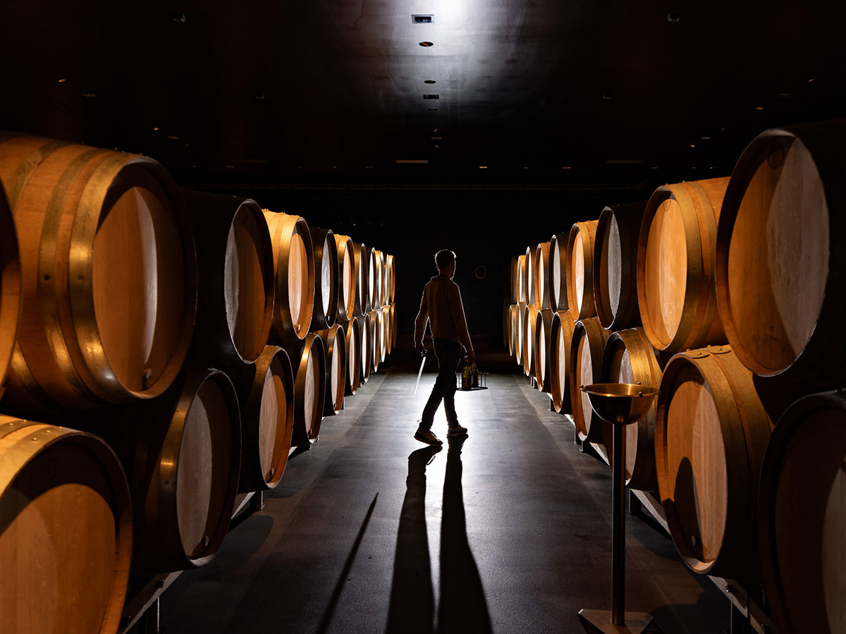 barrique in cantina da Champagne Clandestin