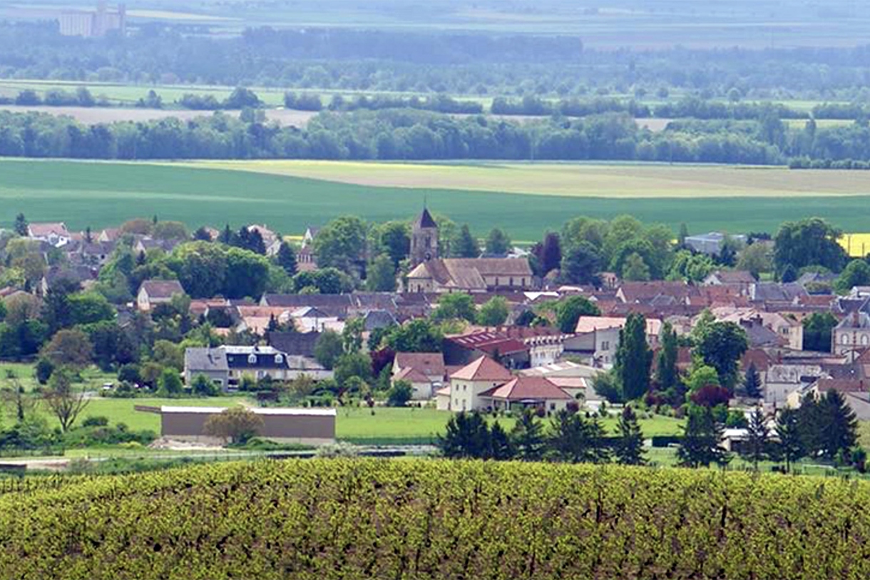 panorama del villaggio di ambonnay con vigne