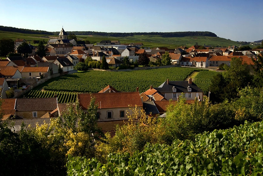 Il ‘Clos du Mesnil’, cuore verde del villaggio di Le-Mesnil-sur-Oger, visto dalle colline a sud del villaggio.